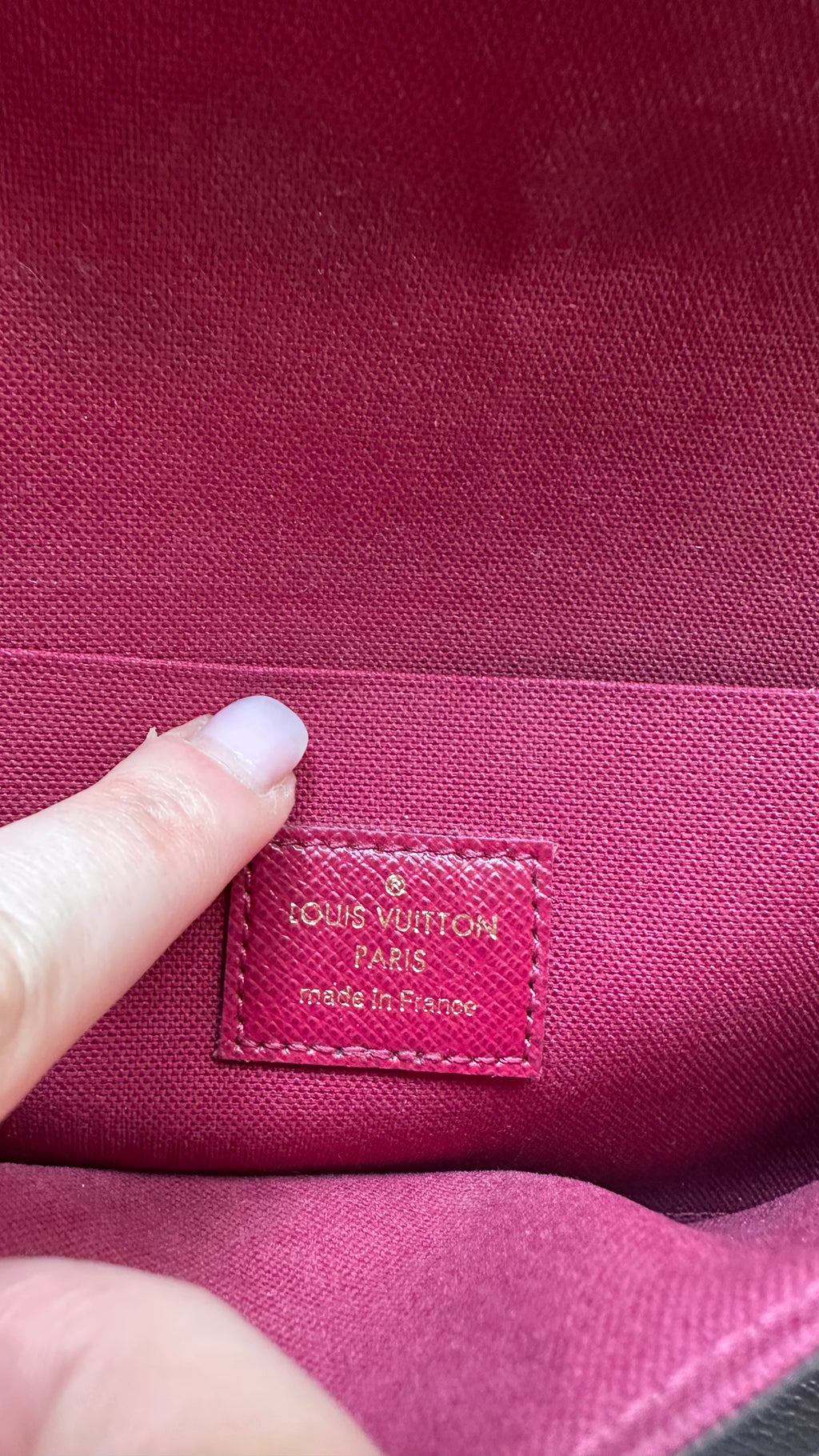 Louis Vuitton Pochette Félicie Monogram